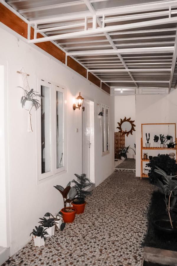 Tropical Paradiso Homestay Banyuwangi  Exterior foto